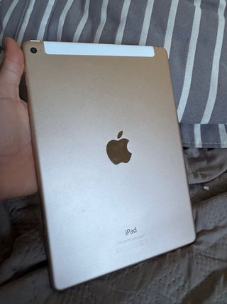 iPad Air 2 Plata/Blanco