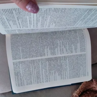 Dizionario italiano inglese