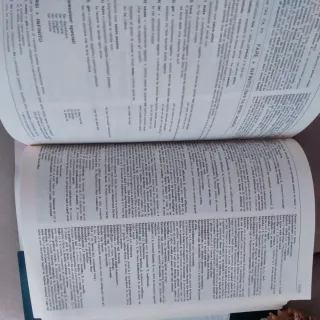 Dizionario italiano inglese