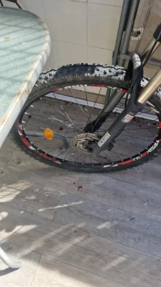 Bicicleta de Montaña Berg