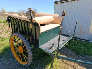 Charret de caballo verde y amarillo