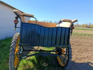 Charret de caballo verde y amarillo