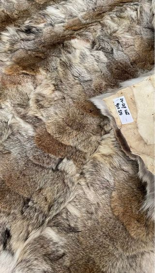 Wow! Tappeto / Coperta in vera pelle di coyote new