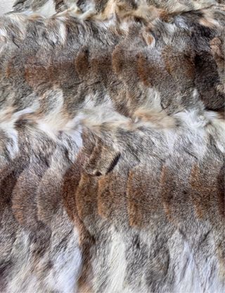Wow! Tappeto / Coperta in vera pelle di coyote new