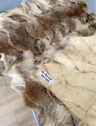 Wow! Tappeto / Coperta in vera pelle di coyote new
