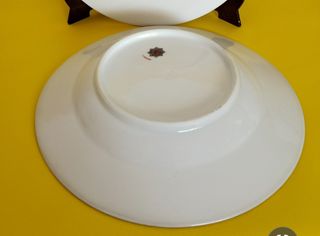 5 Piatti fondi in porcellana Limoges