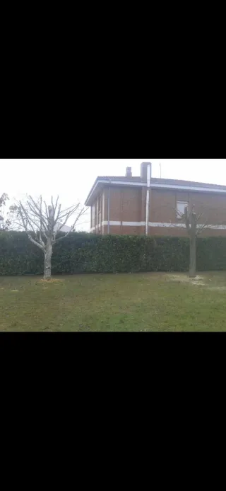 Jardinero muy barato