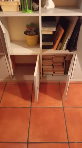 Estantería Ikea 1.60x1.60 con puertas