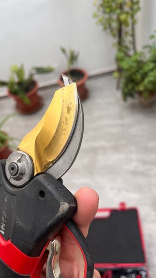 Tijera Eléctrica Electrocup 3020 Medium + Pértiga