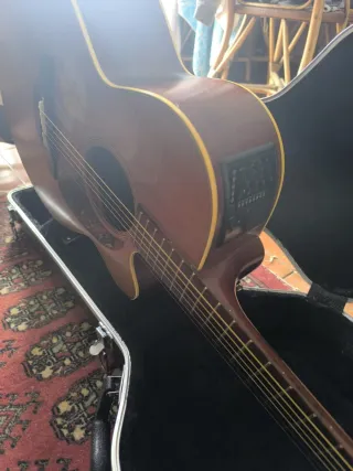 Takamine EAAN40C Guitarra Electroacústica