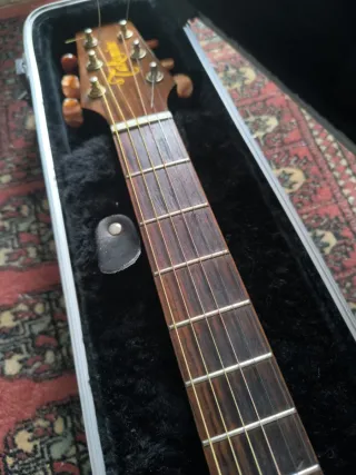 Takamine EAAN40C Guitarra Electroacústica