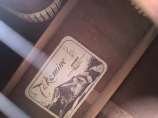 Takamine EAAN40C Guitarra Electroacústica