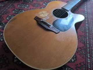 Takamine EAAN40C Guitarra Electroacústica