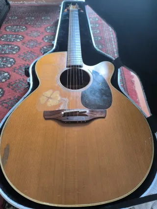 Takamine EAAN40C Guitarra Electroacústica