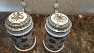 21 Bicchieri da birra tedesca da collezione