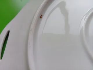 Plato-bandeja antiguo Bidasoa azul y oro.