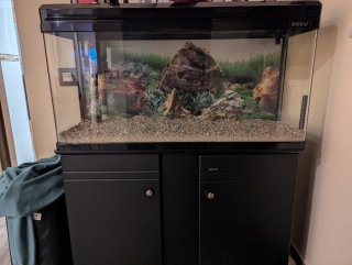 Acuario completo con mueble negro