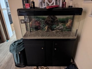 Acuario completo con mueble negro