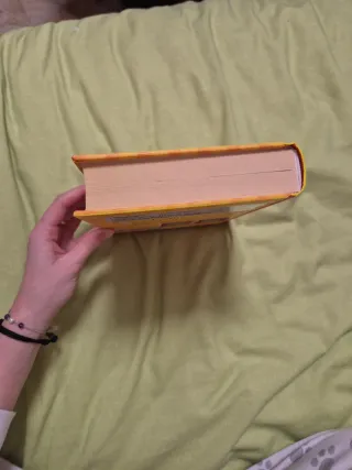 Diario de Nikki 3 - Una estrella del pop muy po...