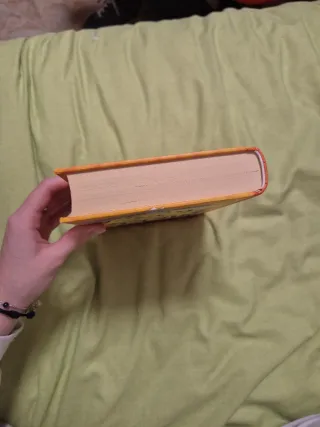 Diario de Nikki 3 - Una estrella del pop muy po...