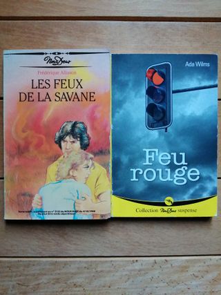 Lote 38 libros amor en francés