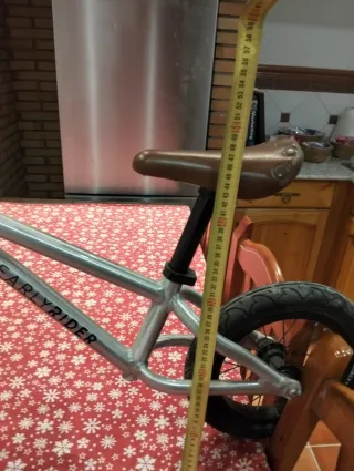 Bicicleta de equilibrio Early Rider