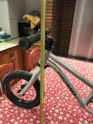 Bicicleta de equilibrio Early Rider