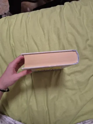 Diario de Nikki 4 - Una patinadora sobre hielo ...