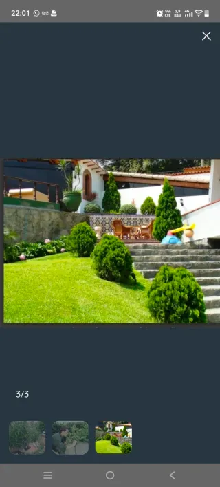 Jardinero profesional