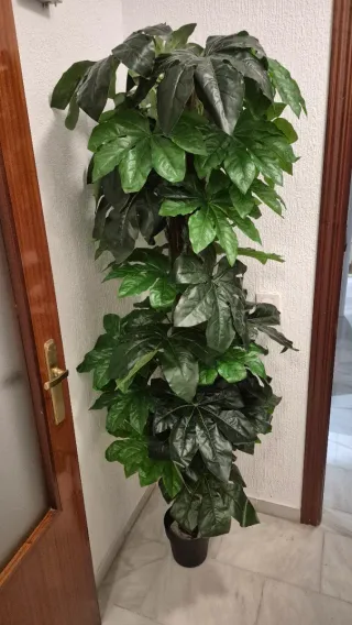 Planta Decorativa Artificial. Precio de venta 87€