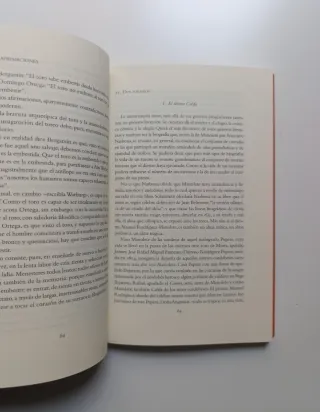 Olvidar la muerte. Pensamiento del toreo...