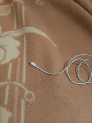 Cargador iPhone Apple Blanco