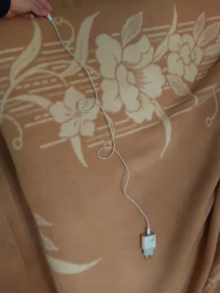 Cargador iPhone Apple Blanco