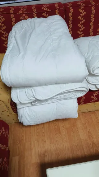 EDREDONES DE INVIERNO