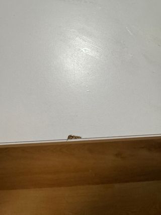 Mesa extensible blanca de madera