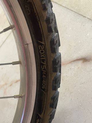 Bicicleta niña 20”