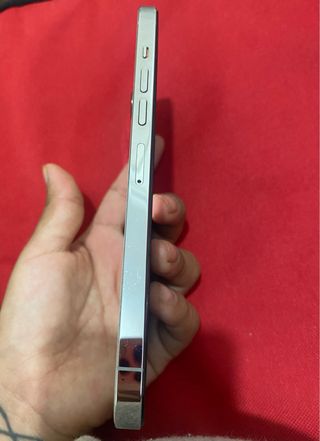 iPhone 13 Pro Max blanco