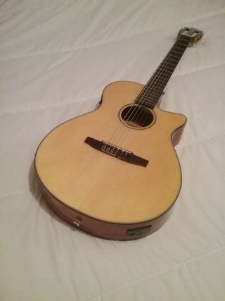 Ibanez AEG 50N Guitarra Acústica