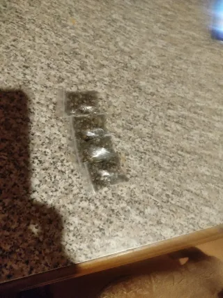 Semillas de Okra Verde - 400 Unidades