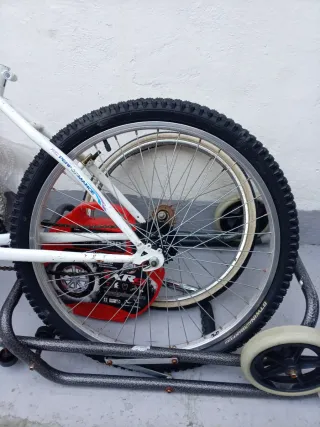 Despiece Bici Roaster