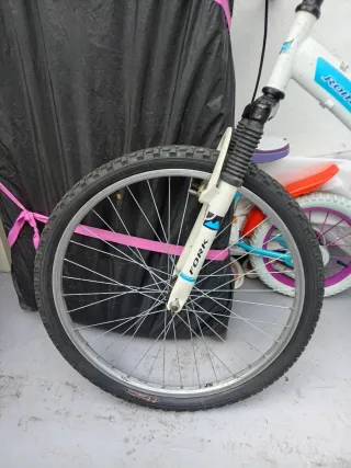 Despiece Bici Roaster