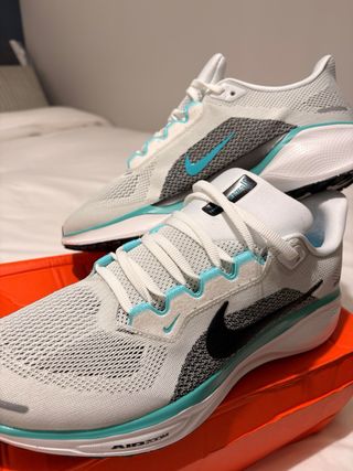 Nike Pegasus 41 Talla 43 Nuevas