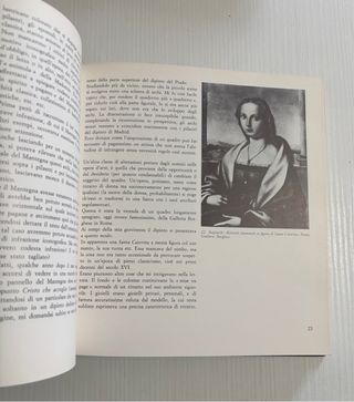 Storia del restauro e della conservazione delle op