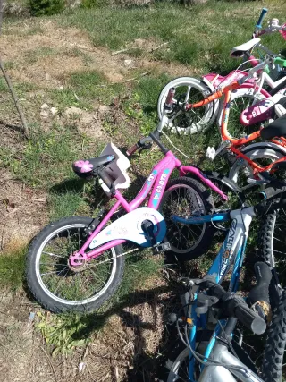 Lote de Bicicletas Variadas