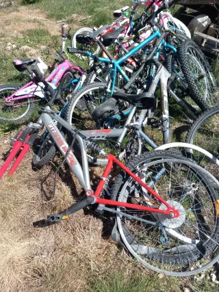 Lote de Bicicletas Variadas