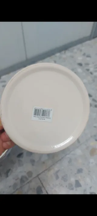 Ciotola in ceramica per cani di piccola taglia