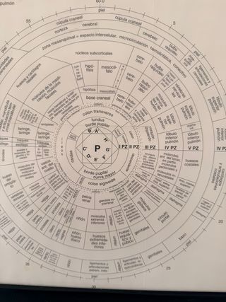 Cuadro Oftalmólogo Iris