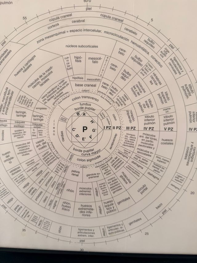 Cuadro Oftalmólogo Iris