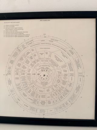 Cuadro Oftalmólogo Iris