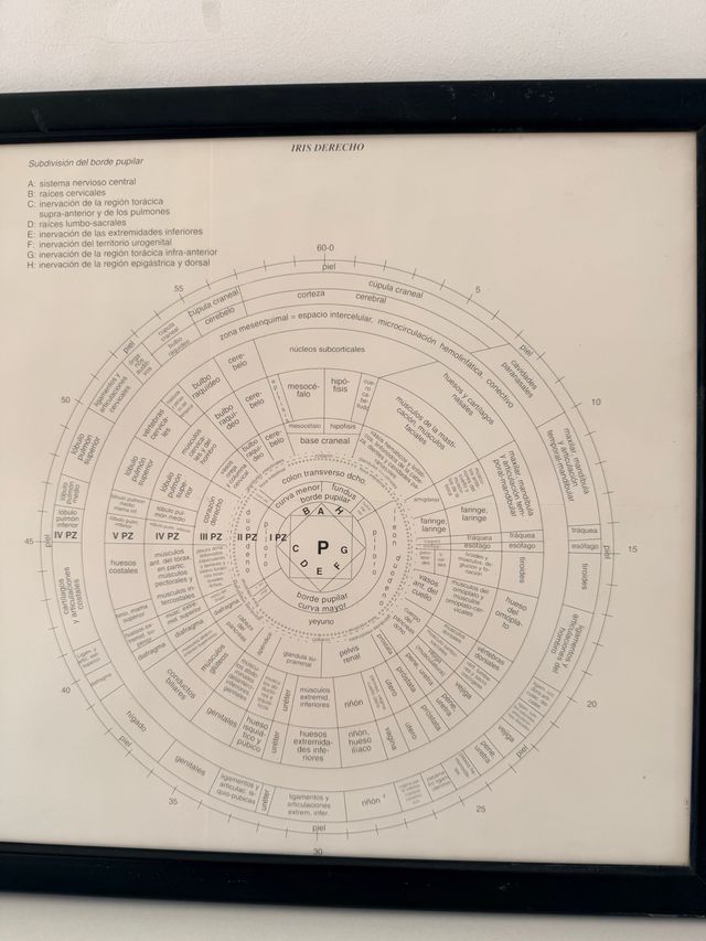 Cuadro Oftalmólogo Iris